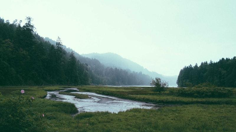 Test 13