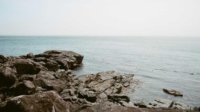 Test 16